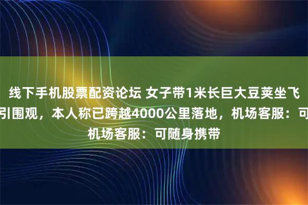 线下手机股票配资论坛 女子带1米长巨大豆荚坐飞机回东北引围观，本人称已跨越4000公里落地，机场客服：可随身携带